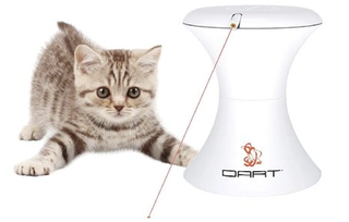 Illustration for article titled Stupid Shit I've Bought for My Cat in an Attempt to Make Her Love Me